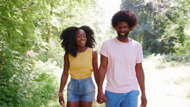 Couple Noir Tenant Main Lors Une Promenade Dans Une Forêt — Video