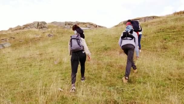 Gruppo Multietnico Giovani Amici Adulti Che Scalano Una Collina Durante — Video Stock