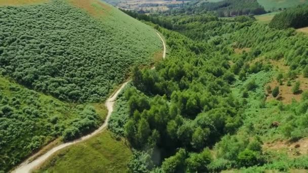 Воздушный Снимок Извивающейся Проселочной Дороги Через Зеленые Холмы Возле Озера — стоковое видео