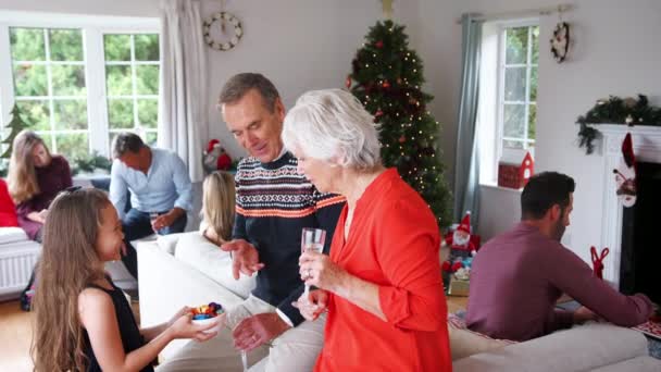 Unokája Szolgáló Édességek Nagyszülők Többgenerációs Családi Összejövetelen Hogy Ünneplik Karácsonyt — Stock videók