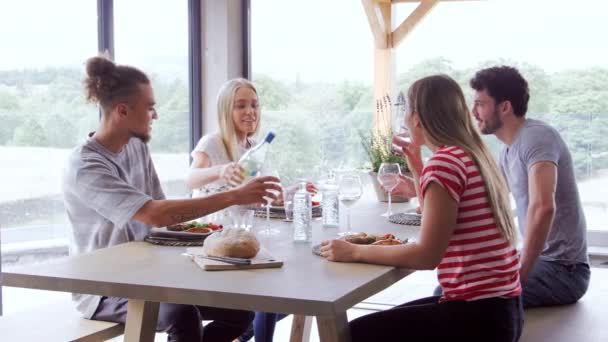 在一次晚宴上 四个年轻的成年朋友庆祝 倒酒和举杯 — 图库视频影像