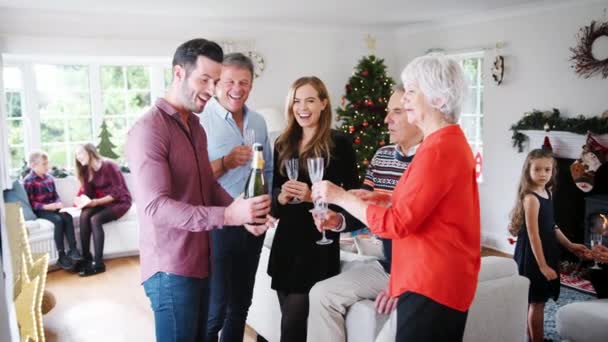 Familia Multi Generación Relajándose Salón Disfrutando Bebidas Antes Cena Juntos — Vídeos de Stock