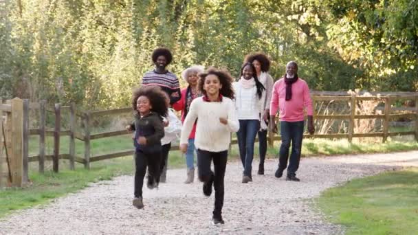 子供として多世代家族グループがスローモーションで撮影 カメラに向かって秋風景をパスに沿って歩いて走って — ストック動画