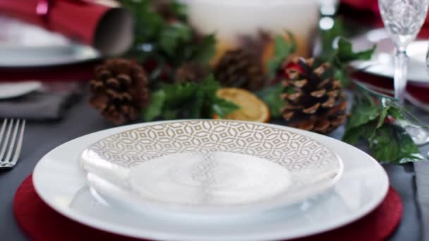 Mano Femenina Que Pone Una Galleta Roja Navidad Plato Una — Vídeo de stock