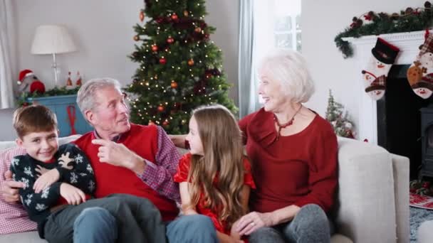 自宅のソファーに一緒に座っている孫を持つ祖父母の肖像画がスローモーションで撮影 — ストック動画