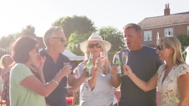 一群成熟的朋友站在夏天的花园盛宴上敬酒 慢动作拍摄 — 图库视频影像