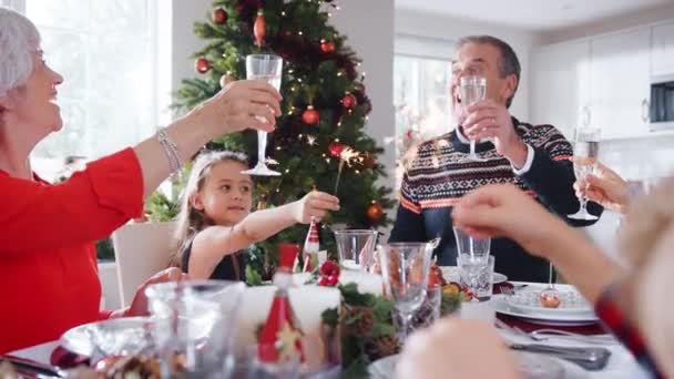 Familia Multigeneracional Sentada Alrededor Mesa Haciendo Tostadas Antes Comer Comida — Vídeo de stock