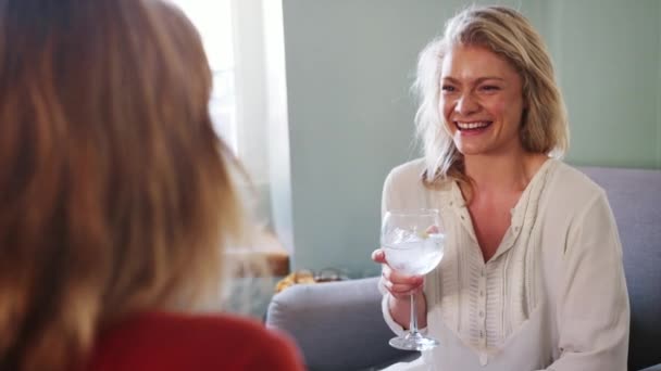 Ung Vuxen Kvinna Håller Drink Och Prata Med Sin Vän — Stockvideo