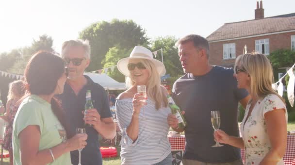 Group Mature Friends Standing Enjoying Drinks Summer Garden Fete Shot — Stock Video