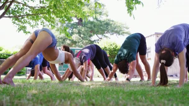 Instructora Femenina Tomando Clases Yoga Aire Libre Filmada Cámara Lenta — Vídeo de stock