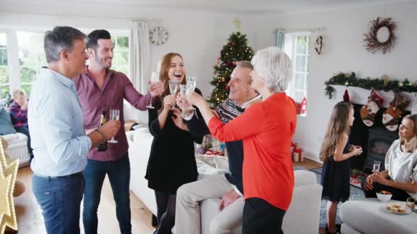 Familia Multi Generación Relajándose Salón Disfrutando Bebidas Antes Cena Haciendo — Vídeo de stock