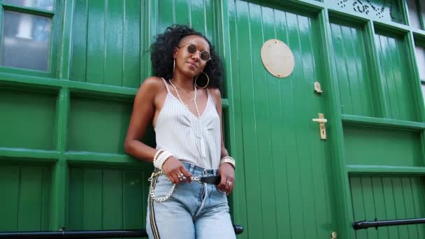 Fashionable Young Black Woman Wearing Sunglasses Leaning Green Door Outdoors — Stock Video