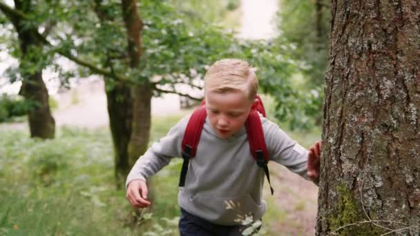 Niño Caminando Por Sendero Entre Árboles Bosque Cerca — Vídeos de Stock