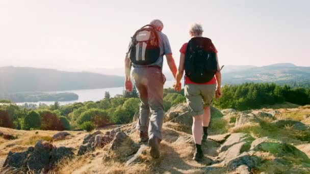 丘の上に立っているとスローモーションで撮影 美しい風景を見てのバックパックを身に着けている年配のカップルの背面図 — ストック動画