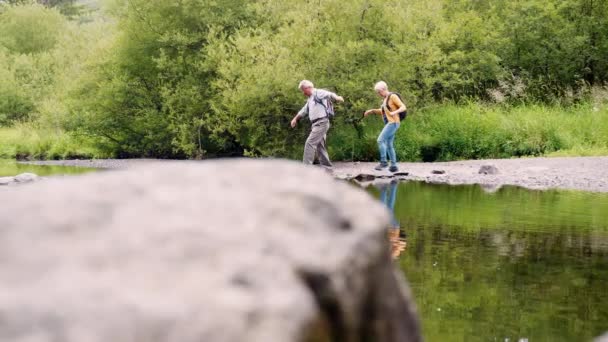 Full Längd Sidovy Senior Vandring Par Korsar Floden Använder Språngbrädor — Stockvideo