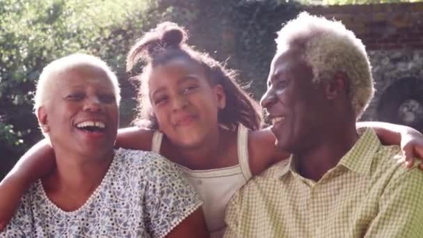 Senior Zwart Paar Gelukkig Granddaugther Buiten — Stockvideo