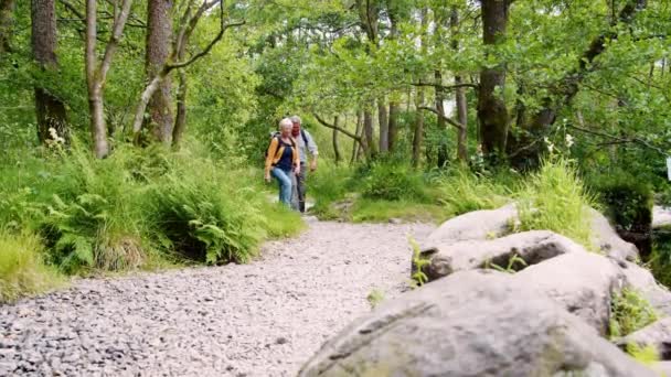 微笑的退休夫妇穿着背包徒步在湖边的小路上 慢镜头拍摄 — 图库视频影像