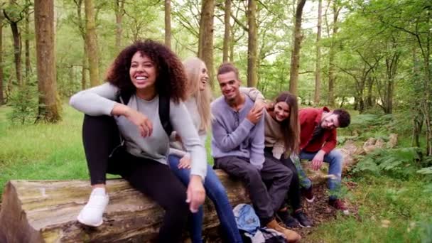 Пять Счастливых Молодых Взрослых Друзей Сидящих Упавшем Дереве Лесу Отдыхающих — стоковое видео