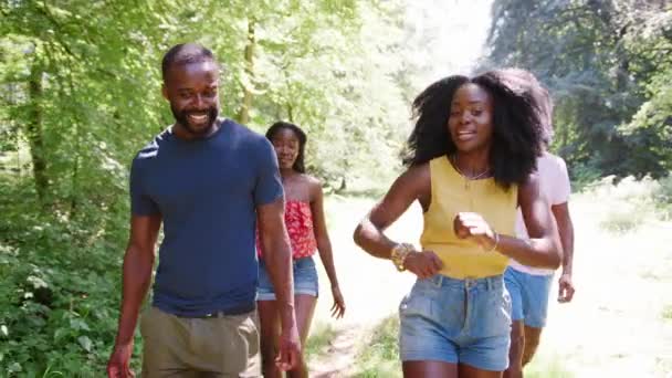 Two Black Couples Walking Together Woods — Stock Video