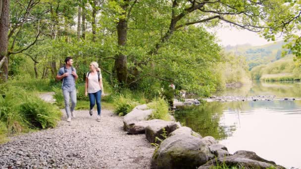 Jeune Couple Souriant Portant Des Sacs Dos Randonnée Long Chemin — Video