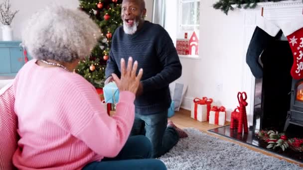 Video Rallentatore Della Coppia Afro Americana Anziana All Albero Natale — Video Stock