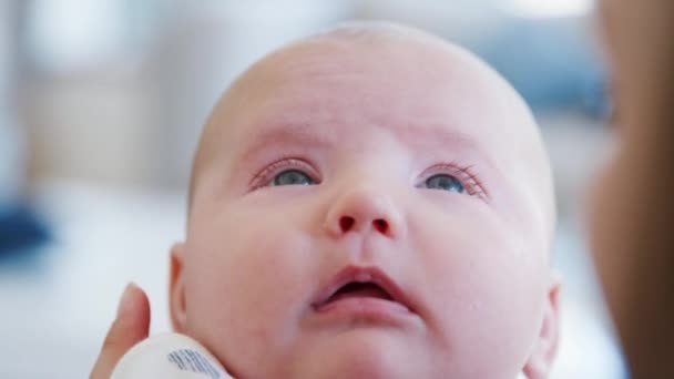 Primer Plano Madre Sentada Sofá Casa Jugando Con Bebé Hijo — Vídeos de Stock