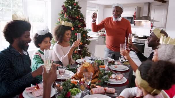 家族のクリスマス ディナー テーブル正面の頭でスピーチと乾杯をする立っている黒の祖父 — ストック動画
