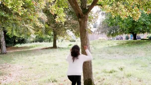 Junges Mischlingsmädchen Springt Und Klettert Auf Einen Herbstbaum Handheld — Stockvideo