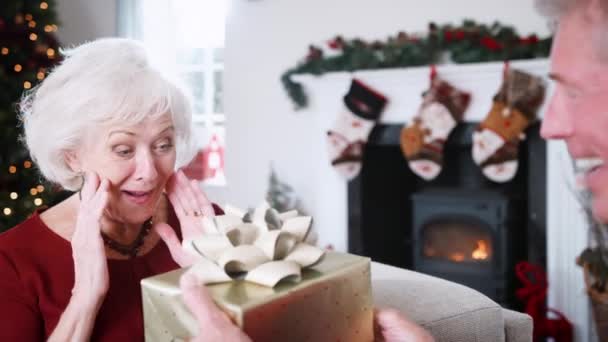 Starszy Człowiek Wręczenie Świąteczny Prezent Dla Kobiety Która Dając Buziaka — Wideo stockowe