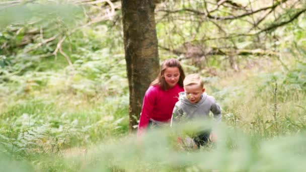 Twee Kinderen Lopen Een Forest Onder Groen Handheld — Stockvideo