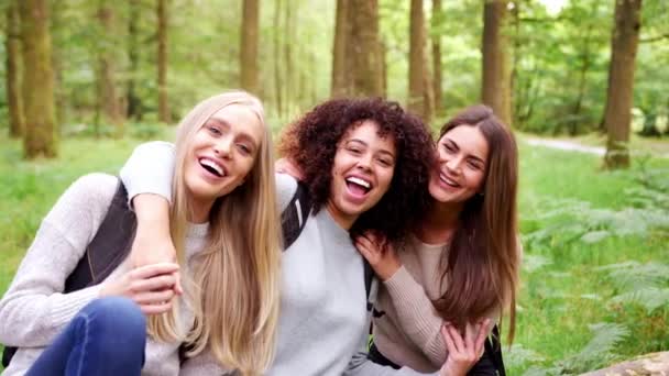 笑顔と ハンドヘルドのハイキング中に森に座って休憩をとりながら採用 つの若年の成人女性 — ストック動画