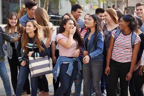 Grupo Estudiantes Universitarios Masculinos Femeninos Sonrientes Fuera Del Edificio Escuela —  Fotos de Stock