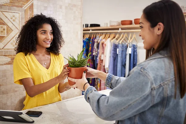 Mujer Comprando Planta Cliente Asistente Ventas Tienda Regalos Independiente — Foto de Stock