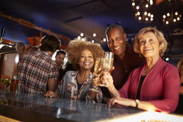 Portrett Seniorvenner Som Drikker Sammen Bar – stockfoto