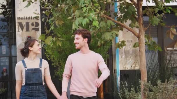 Glückliches Junges Hipster Paar Das Händchen Haltend Auf Der Straße — Stockvideo