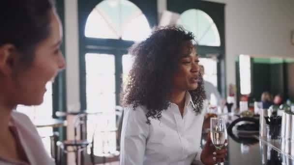 Twee Zakenvrouwen Zittend Bar Genieten Van Drankjes Het Werk Samen — Stockvideo