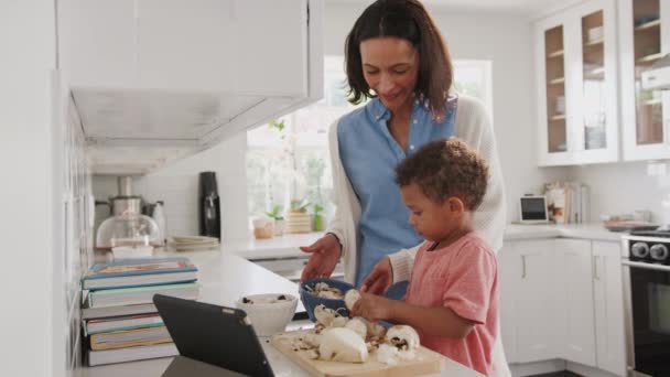 Millennial Mother Toddler Son Preparing Food Together Kitchen Side View — Stock Video