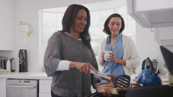 Middelbare Leeftijd Vrouw Staande Keuken Koken Haar Volwassen Dochter Staande — Stockvideo