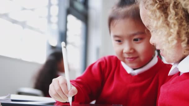 Två Spädbarn Skolflickor Ritning Med Tablet Och Penna Klassen Närbild — Stockvideo