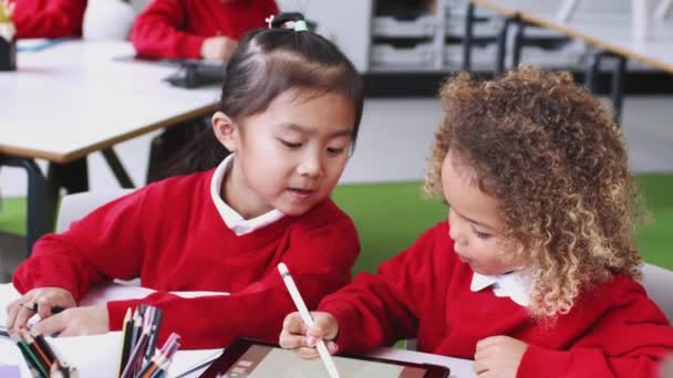 Young Mixed Race Schoolgirls Infant School Classroom Drawing Using Tablet — Stock Video