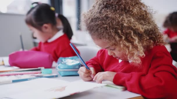 Close Mixed Race Schoolgirl Drawing Desk Infant School Classroom Focus — Stock Video