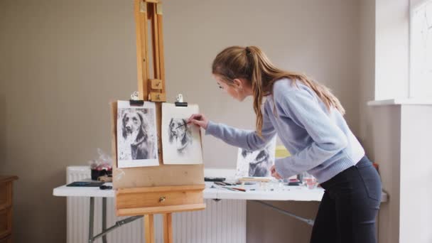 Une Adolescente Artiste Tient Près Chevalet Travaillant Sur Portrait Chien — Video