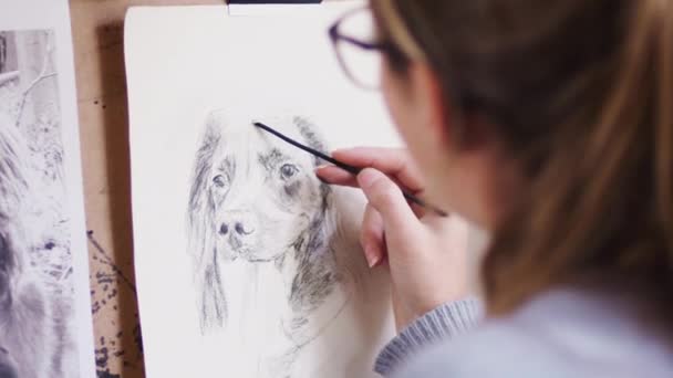 Close Female Artist Working Portrait Dog Charcoal Shot Slow Motion — Stock Video