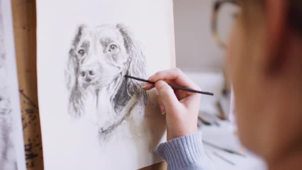 女性の十代のアーティストから 彼女が写真を使って描いているペットの犬の肖像画に焦点を当てて肩の上に スローモーションで撮影 — ストック動画