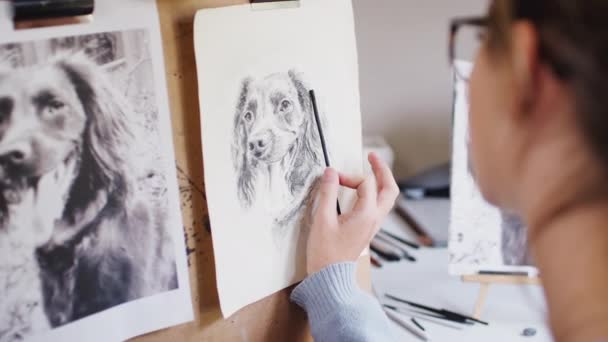 女性青少年艺术家绘制轮廓的宠物狗的肖像在木炭从照片 拍摄慢动作 — 图库视频影像
