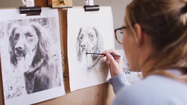 Female Teenage Artist Draws Outline Portrait Pet Dog Charcoal Photograph — Stock Video