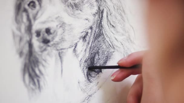 Nahaufnahme Eines Künstlers Der Einem Porträt Des Hundes Kohle Arbeitet — Stockvideo