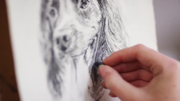 Gros Plan Artiste Travaillant Sur Portrait Chien Fusain Tourné Ralenti — Video