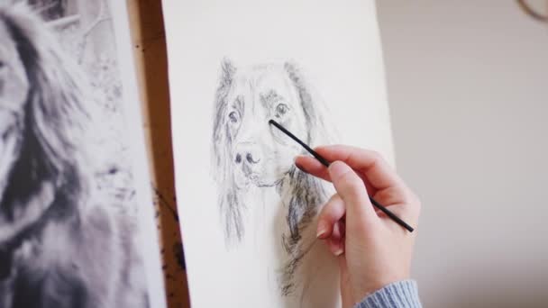 Une Adolescente Dessine Portrait Chien Compagnie Dans Charbon Bois Partir — Video