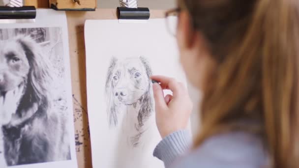 女性の十代のアーティストは 写真から木炭でペットの犬の肖像画の輪郭を描く スローモーションで撮影 — ストック動画
